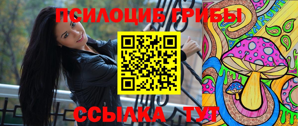 Псилоцибиновые грибы Cubensis Нефтекумск